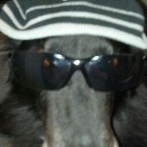 Meet your Posher, David